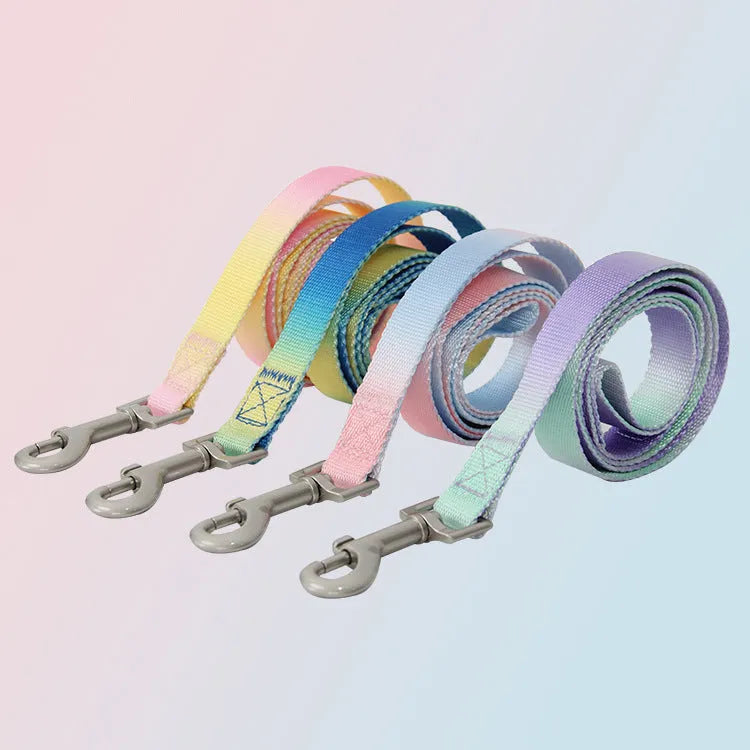 Gradient colour nylon dog leash in pink and blue gradient design