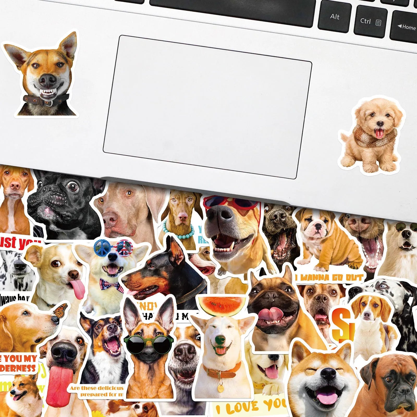 Pack of 100 Nordic style stickers with realistic dog facial expressions