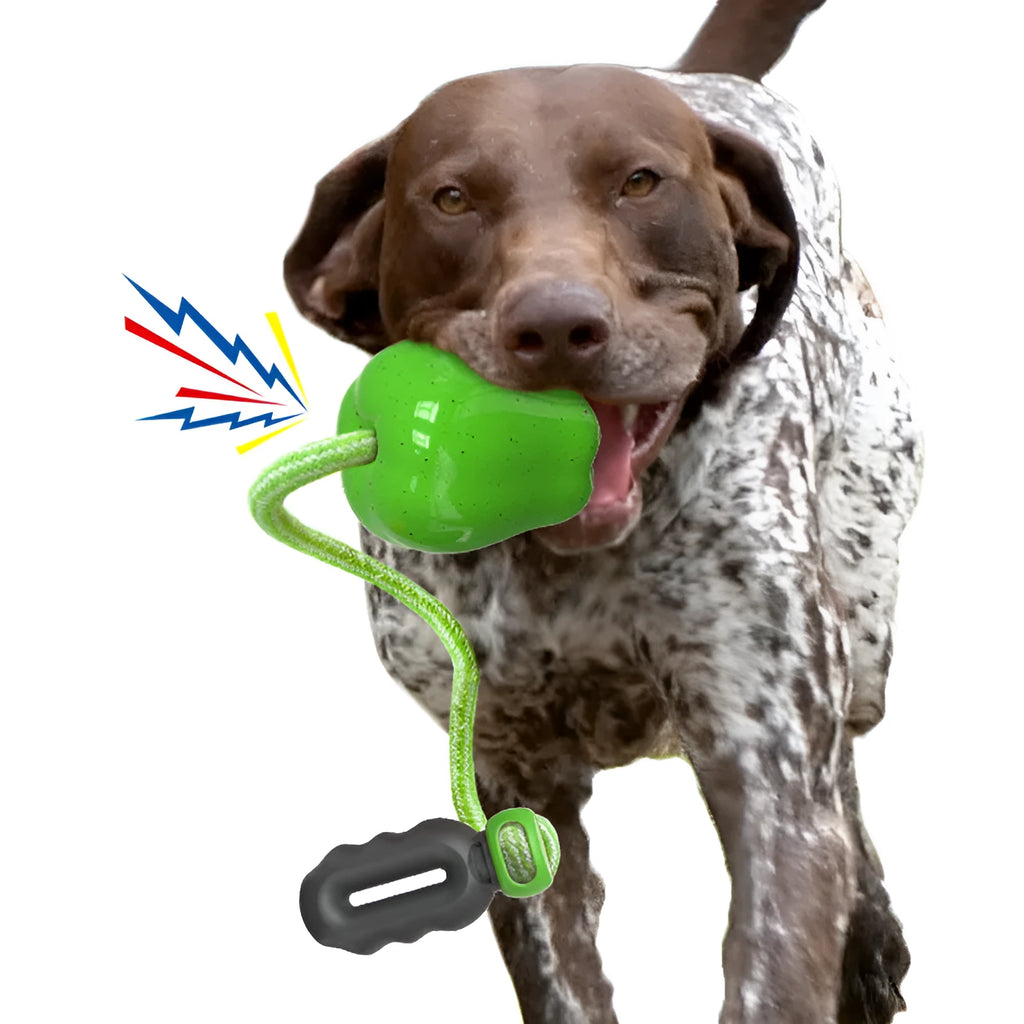 Plastic apple-shaped dog toy with food-dispensing hole and squeaker in green colour