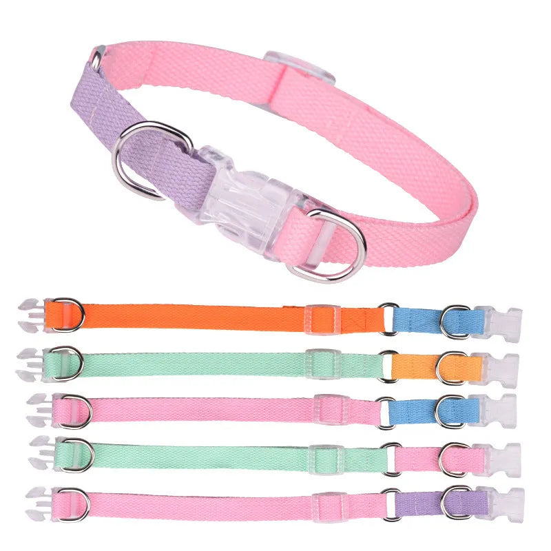 Polyester dog collar, lead, and chest strap set showing adjustable sizing and colour options