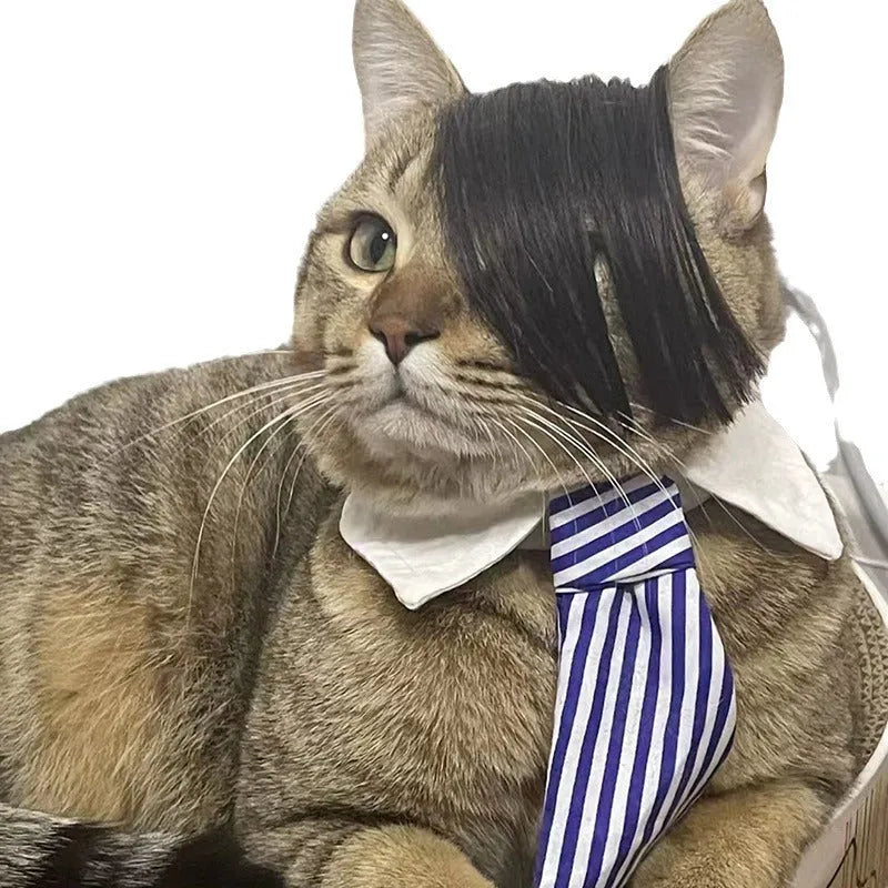Black fox wig for cats with imitation braid detailing, made from lightweight polyester