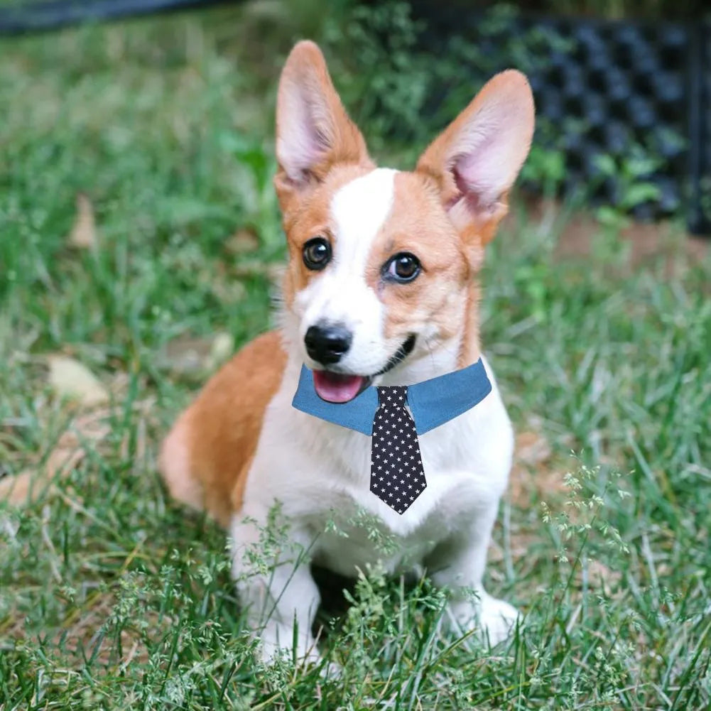 Denim dog collar with an attached red star pattern necktie, showing the adjustable fastener tape closure.