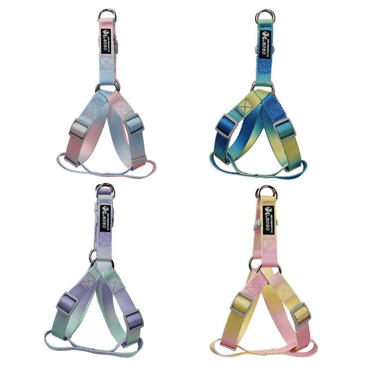Gradient colour nylon dog leash in pink and blue gradient design