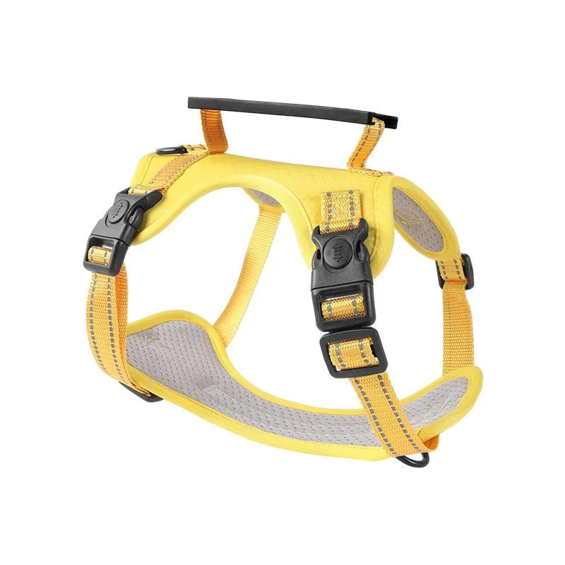 Multi-colour polyester dog chest harness with attached lead in sizes for small to large breeds.