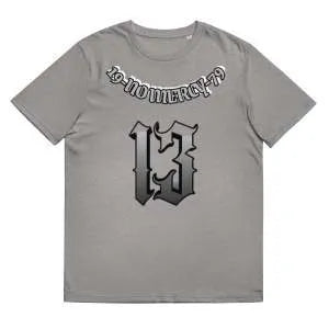 Straight fit cotton summer t-shirt in grey, short sleeves, round neck