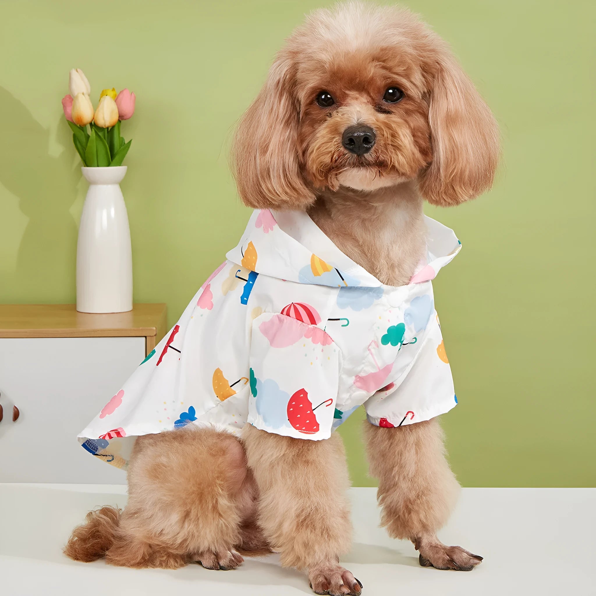 Colourful cartoon umbrella pattern dog raincoat in polyester fabric shown in multiple pet sizes