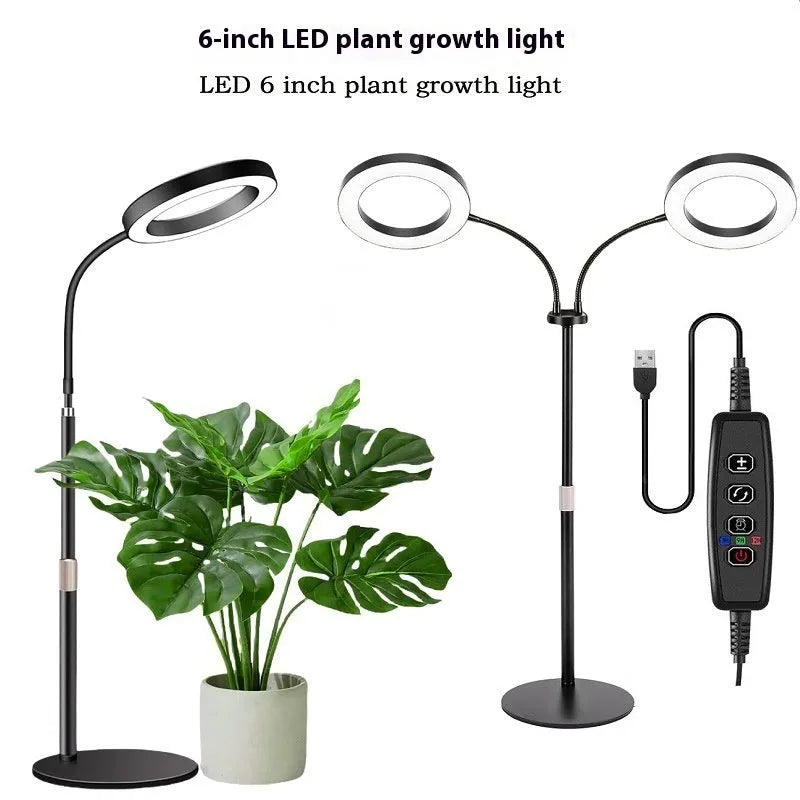 6-inch diameter angel ring LED plant grow light on a tall retractable floor stand