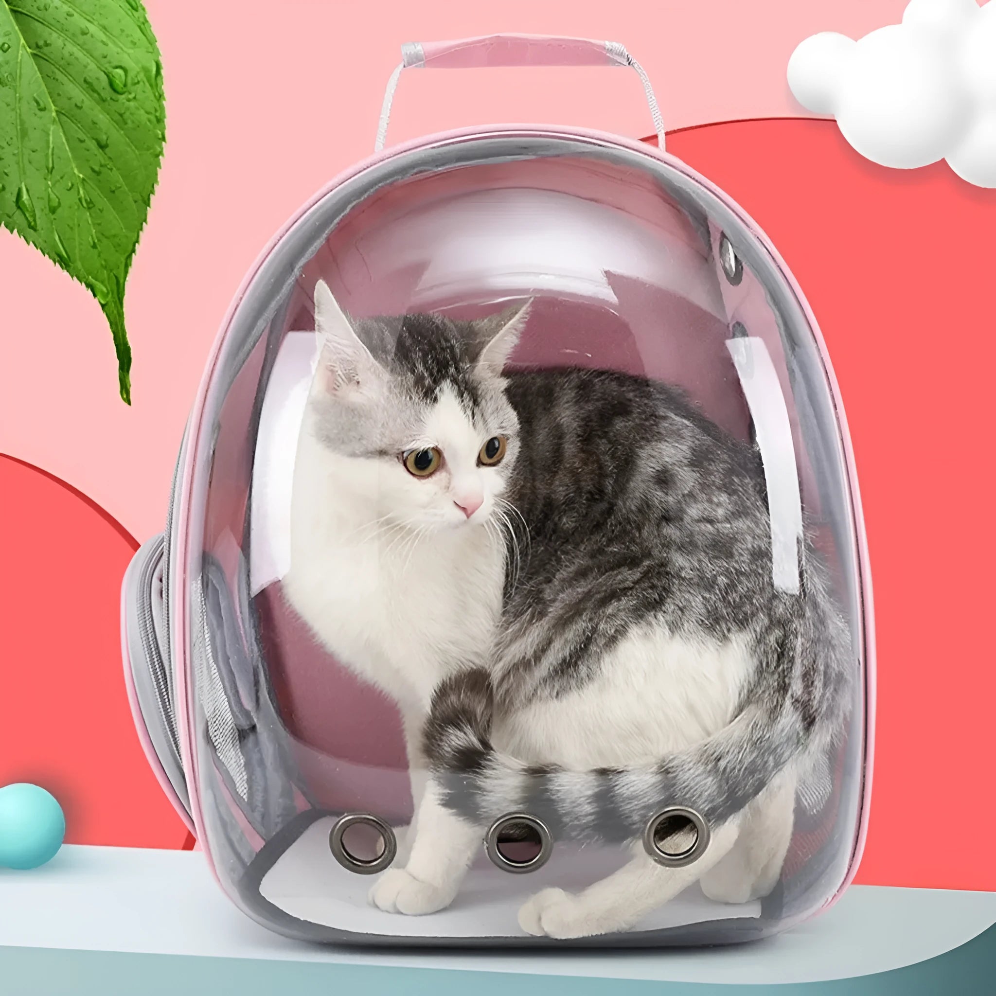 Solid colour PC plastic cat carrier backpack with a side opening, shown in grey.