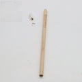 Seed pencil with degradable plant capsule containing herb, flower, or vegetable seeds