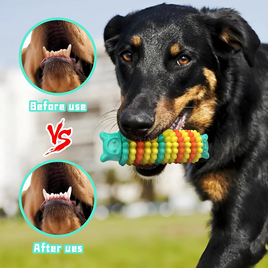 Blue natural rubber caterpillar-shaped chew toy for dogs on a plain background.