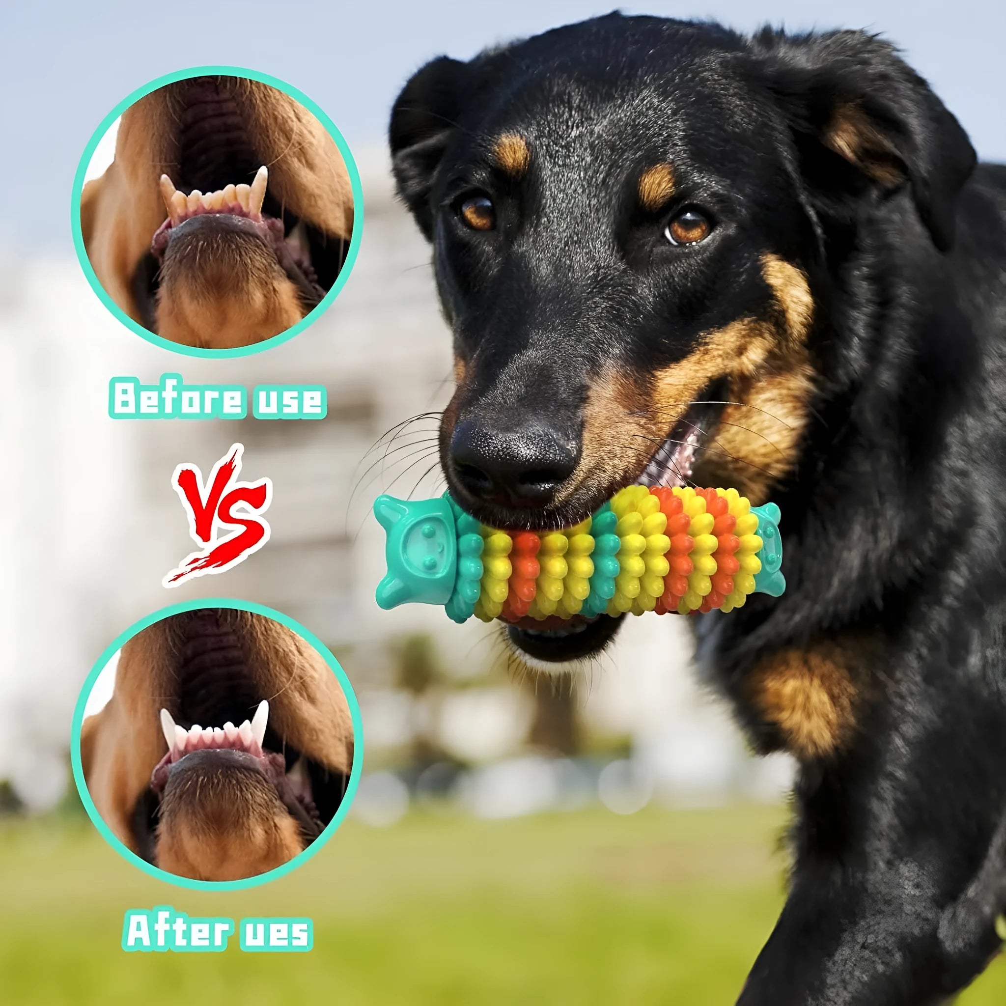 Blue natural rubber caterpillar-shaped chew toy for dogs on a plain background.