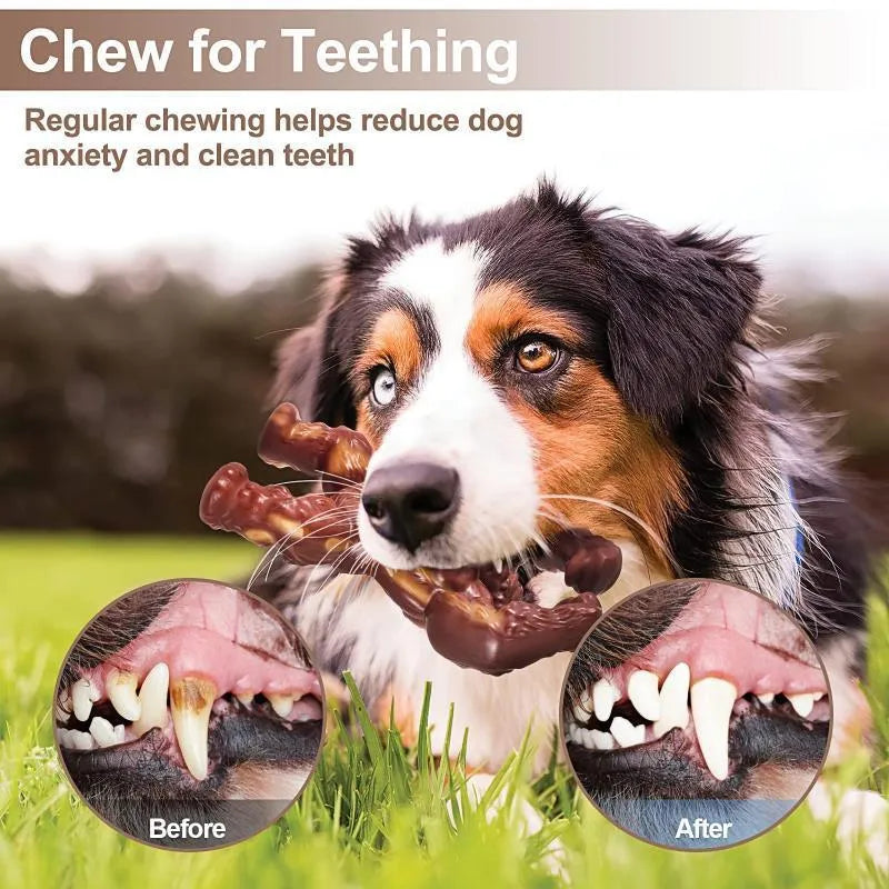 Scarlet red nylon dog chew toy with ridged texture for molar nibbling and teeth cleaning.