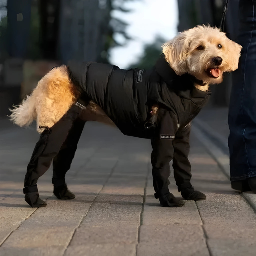 Doggie Strap Paw Protectors waterproof dog shoes in black with non-slip sole