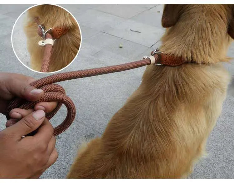Brown nylon dog leash with P-chain connection showing 2.1 metre length