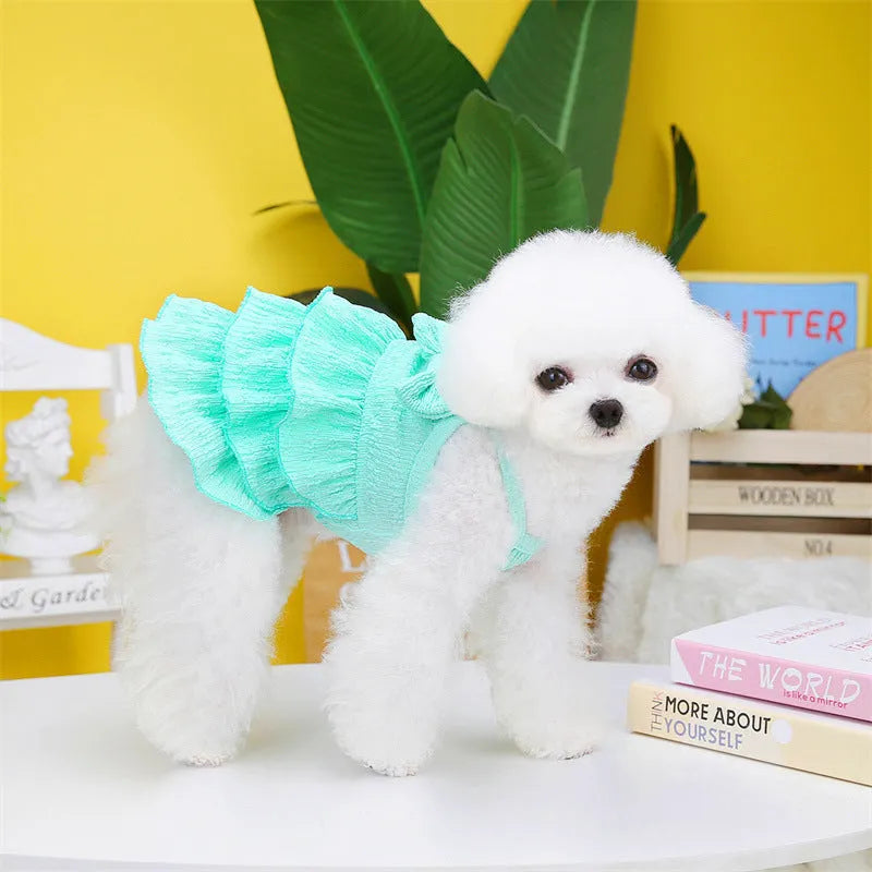 Small dog wearing princess-style dress with candy layered skirt in polyester fabric