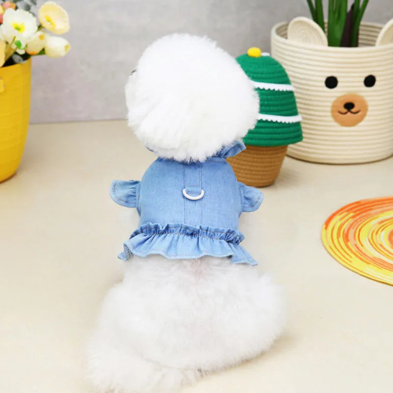 Blue denim dog dress with ruffle trim and back leash hook on a model dog