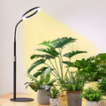 6-inch diameter angel ring LED plant grow light on a tall retractable floor stand