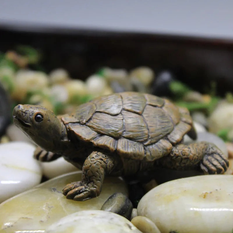 Small resin simulation turtle ornament for miniature garden and terrarium decoration.