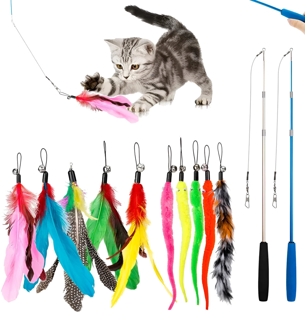 Cat teasing pole set showing two handheld fishing rods with feather replacement heads