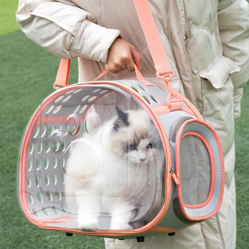Transparent hard EVA cat backpack in large 42x28x35cm size with foldable design