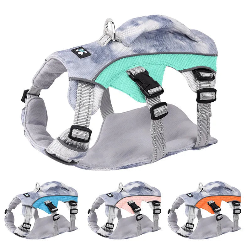 Reflective light blue dog cooling vest with chest strap on a medium-sized dog