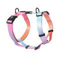 Gradient colour dog harness on model showing purple and blue colour transition design