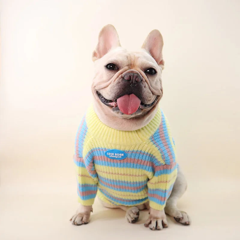 Blue and yellow striped wool dog jumper sweater for small breed pets.