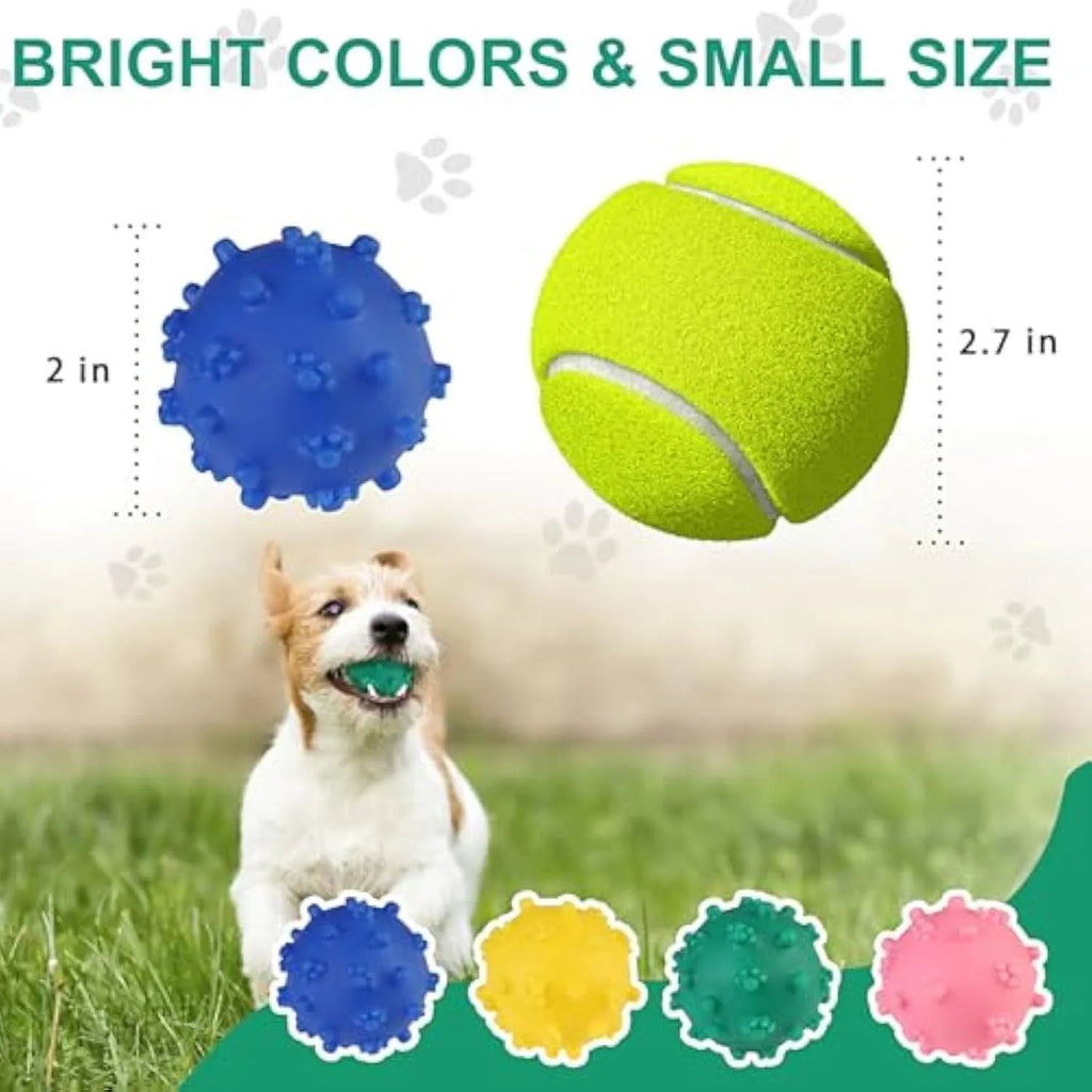 Bright coloured squeaky dog ball with paw print texture for small breed puppies