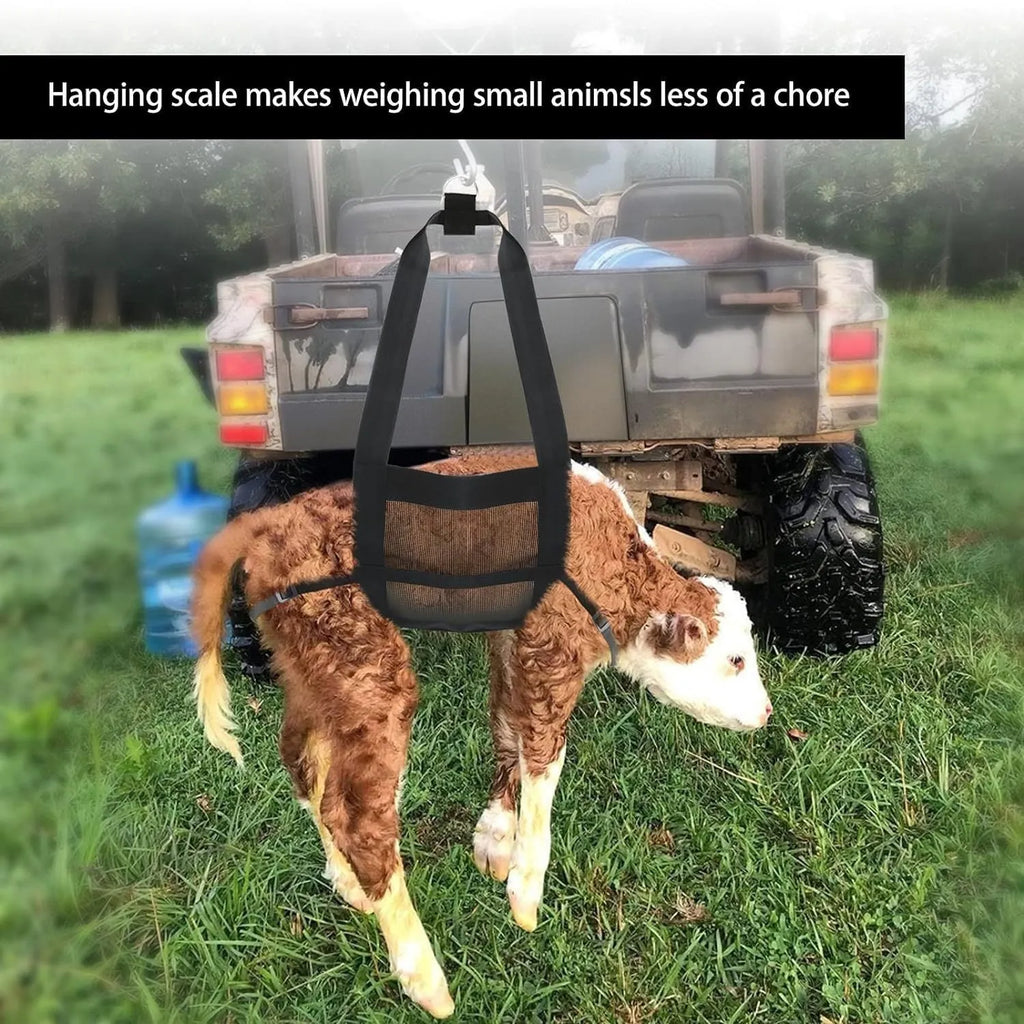 Large black polyester sling for weighing calves and small animals, measuring 35 cm wide.