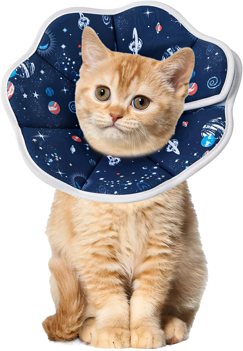 Soft adjustable cat recovery cone collar in Constellation colour for post-surgery wound protection
