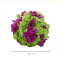 Purple plush seaweed ball dog chew toy for teething and interactive play
