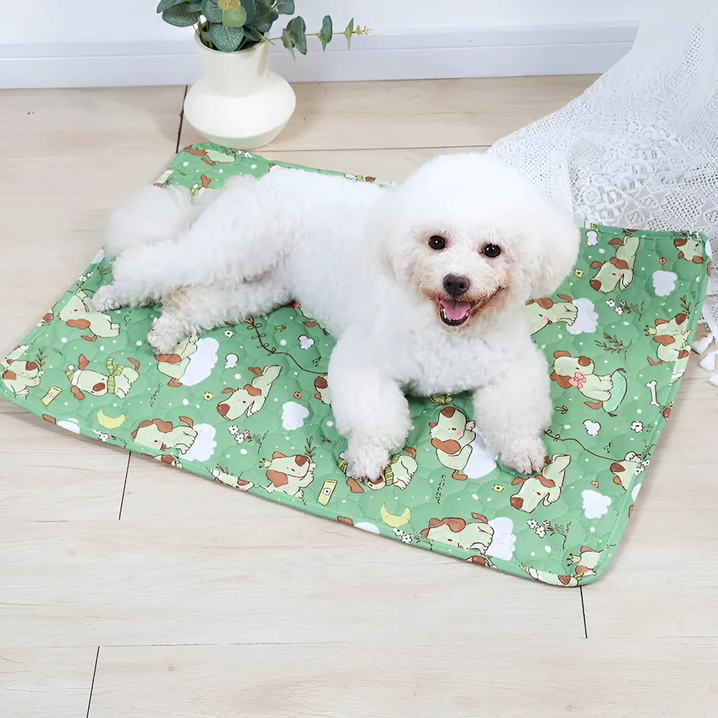 Washable waterproof dog urine pad in animal print design with non-slip base