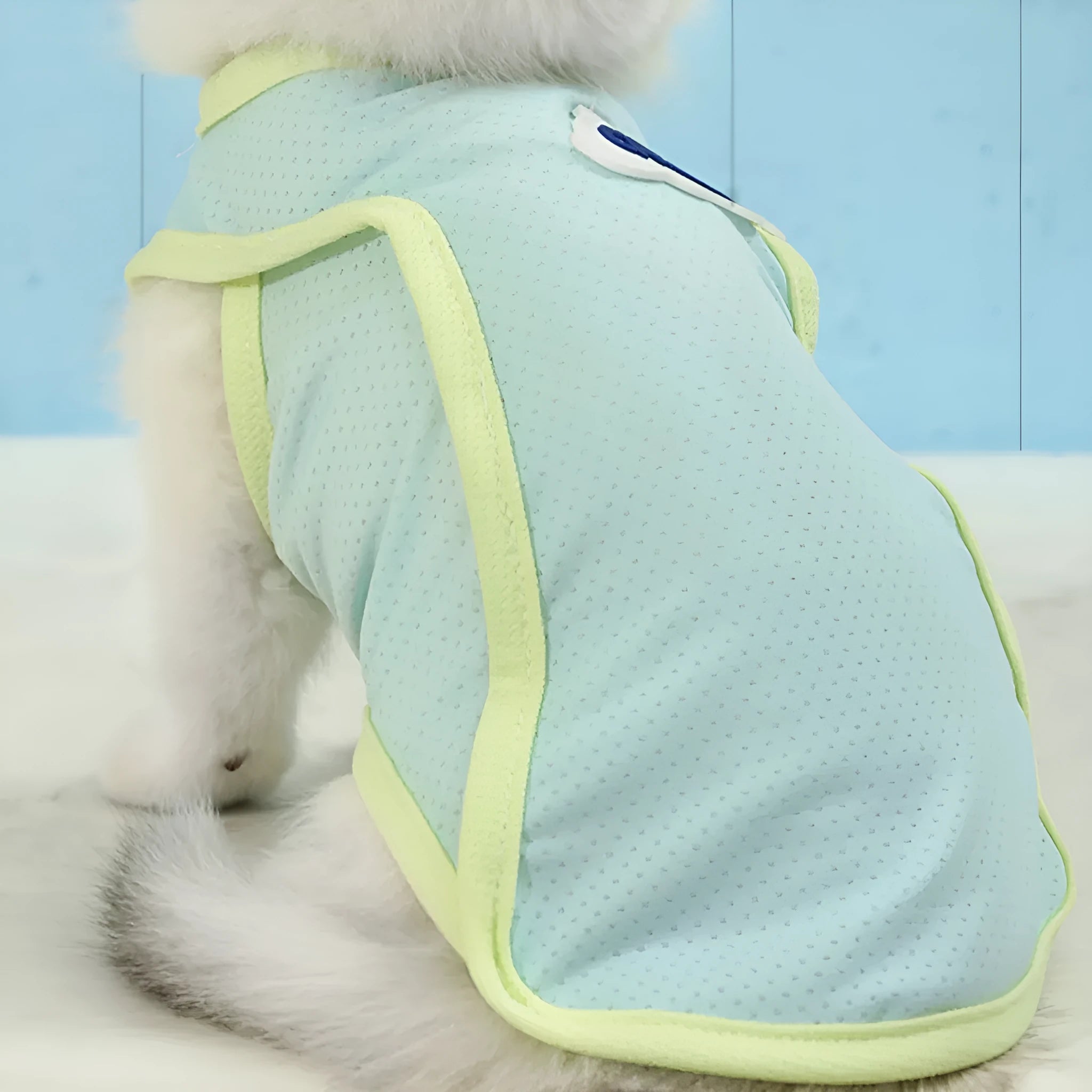 Lightweight polyester cat vest in sports style, shown in grass green colour