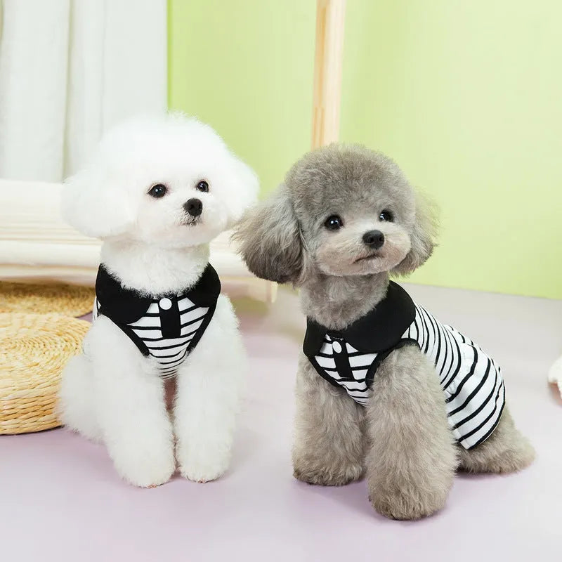 Striped pet summer clothing bundle with T-shirt and skirt in cotton material