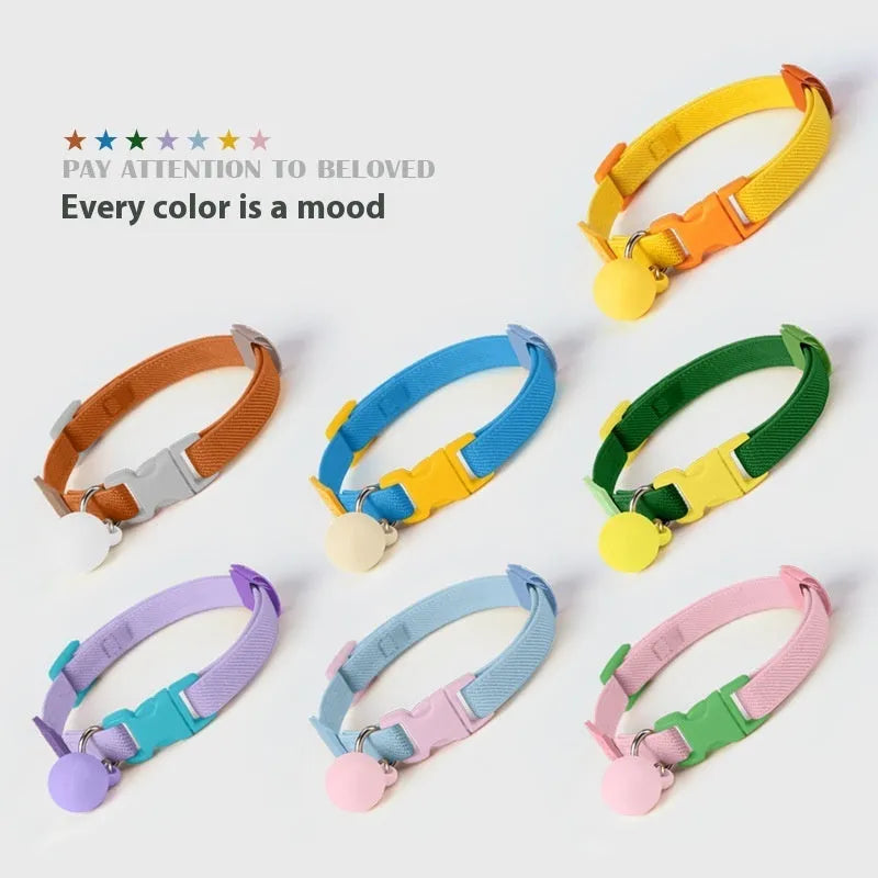 Small dog wearing a solid colour polyester elastic pet collar, adjustable from 22 to 32cm.