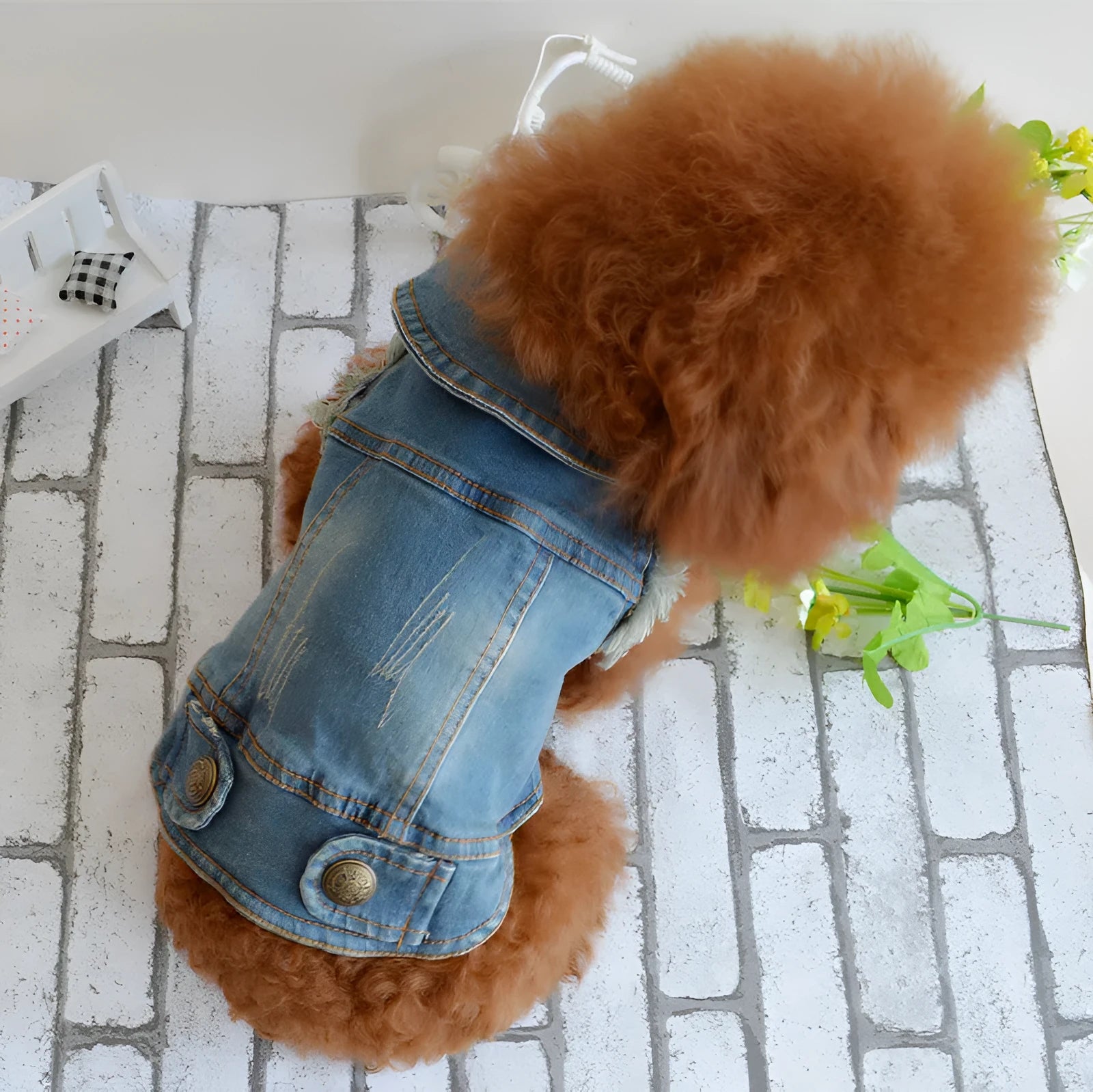 Small dog wearing a denim vest with a retro scratch pattern in a light wash colour.