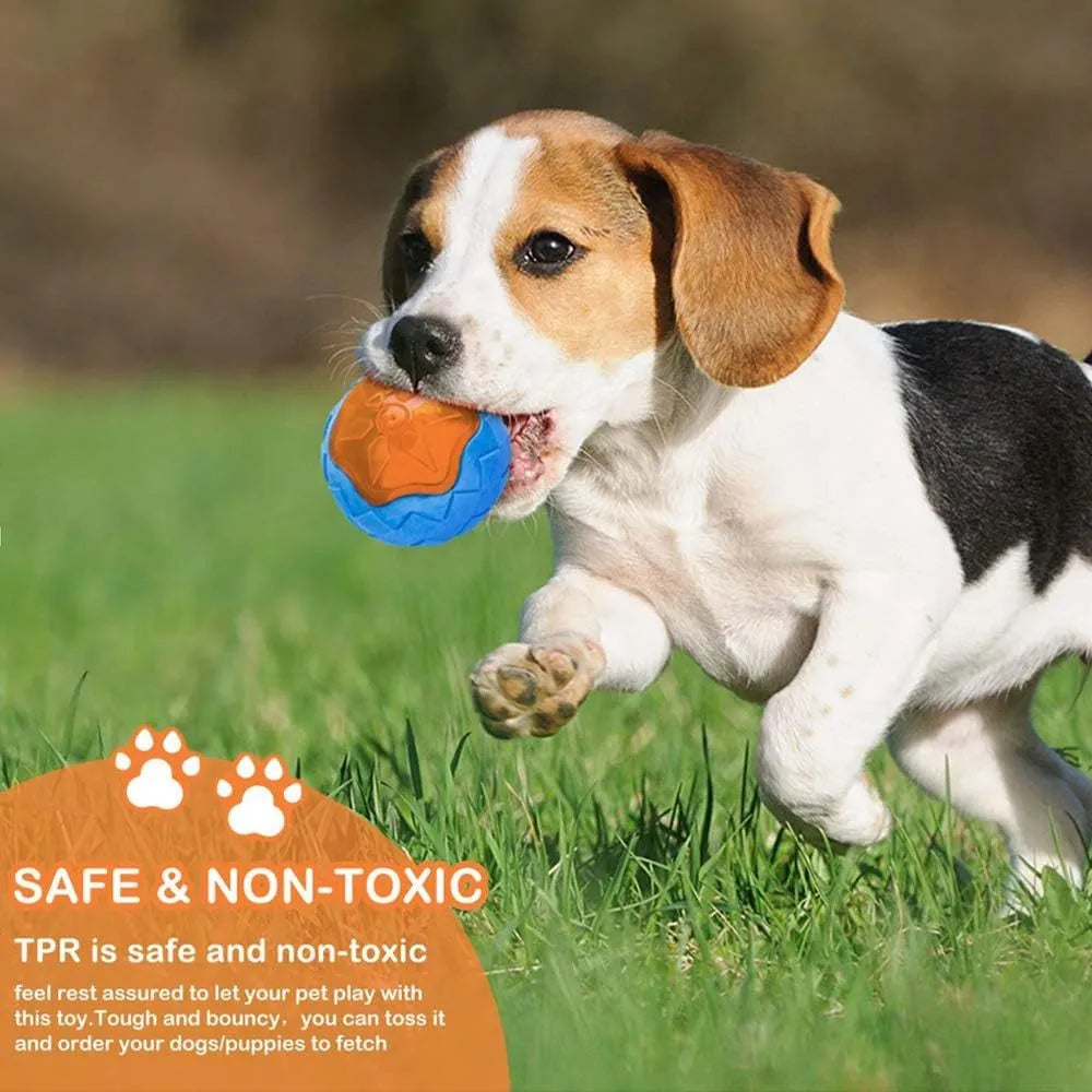Set of three TPR floating squeaky dog toys: a red ball, blue barbell, and orange tyre with bumpy textures.