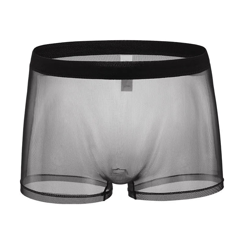 Men's mesh boxer briefs in thin polyester fabric with low-waist design