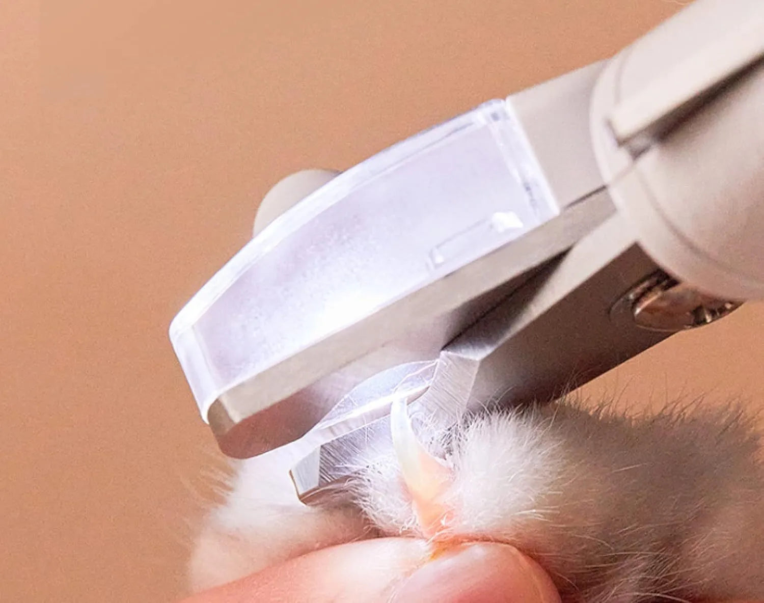 White LED pet nail clippers for dogs and cats with a transparent safety guard and leather-like handle.