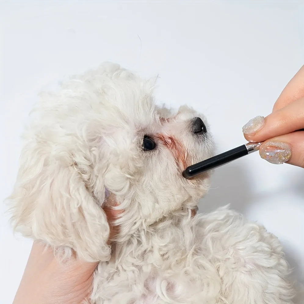 Black ambidextrous pet grooming brush with soft bristles and a separate comb attachment for dogs and cats.