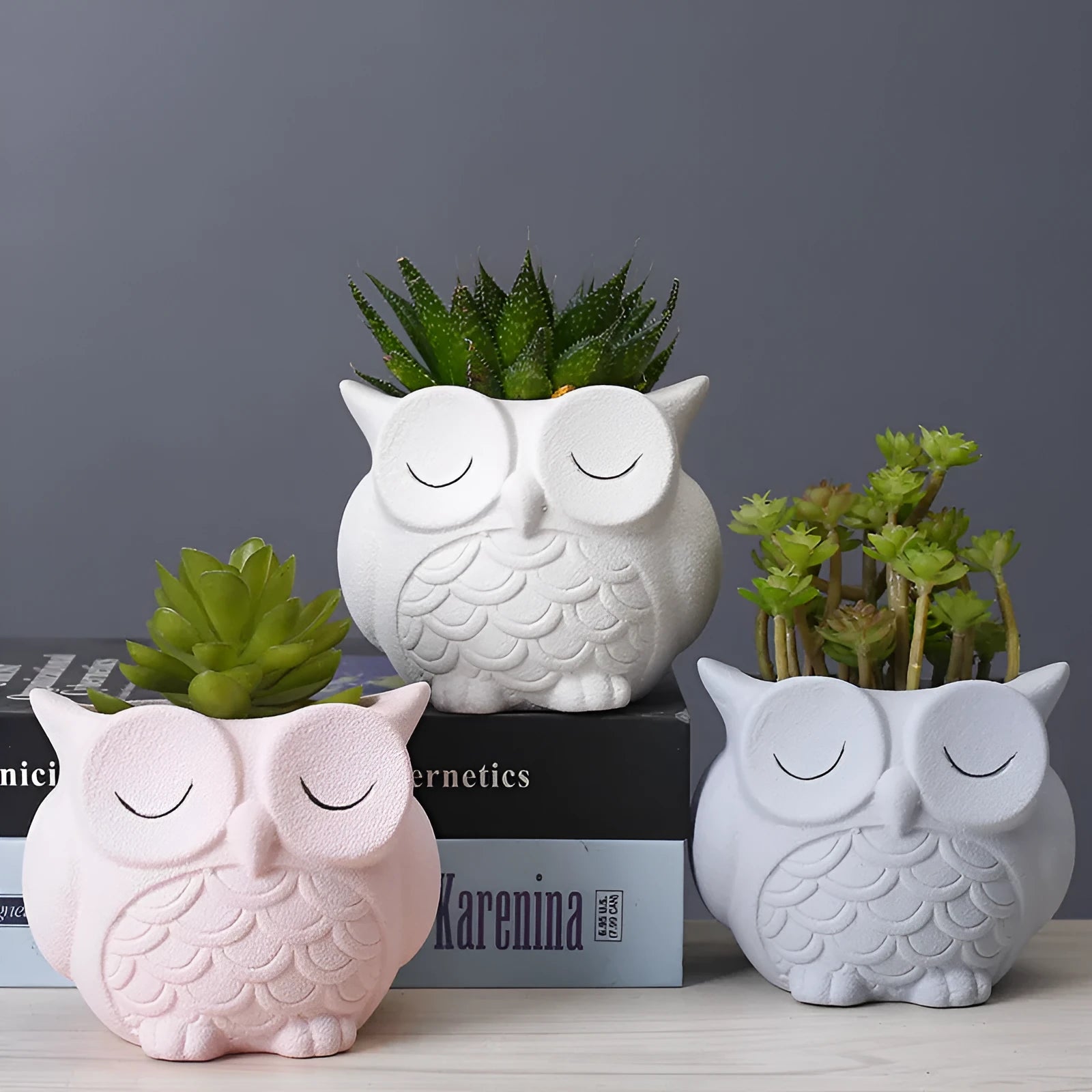 Handmade frosted ceramic succulent pot with cartoon owl design, shown in light pink.
