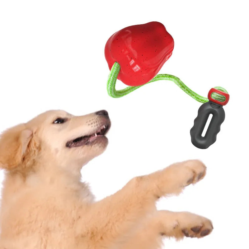 Plastic apple-shaped dog toy with food-dispensing hole and squeaker in green colour