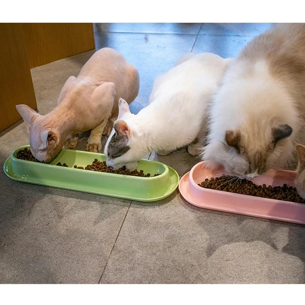 Green weighted pet bowl with anti-slip feet for cats and dogs on a floor.