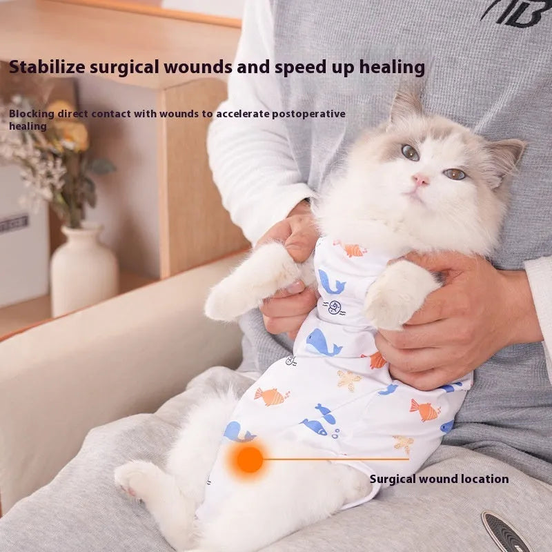 A cat wearing a blue polyester recovery bodysuit with Velcro closures after sterilisation surgery.