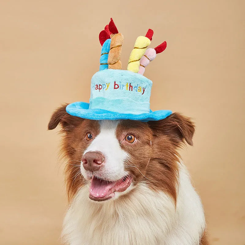 Blue dog birthday hat with elastic strap and decorative ball top for small dog.