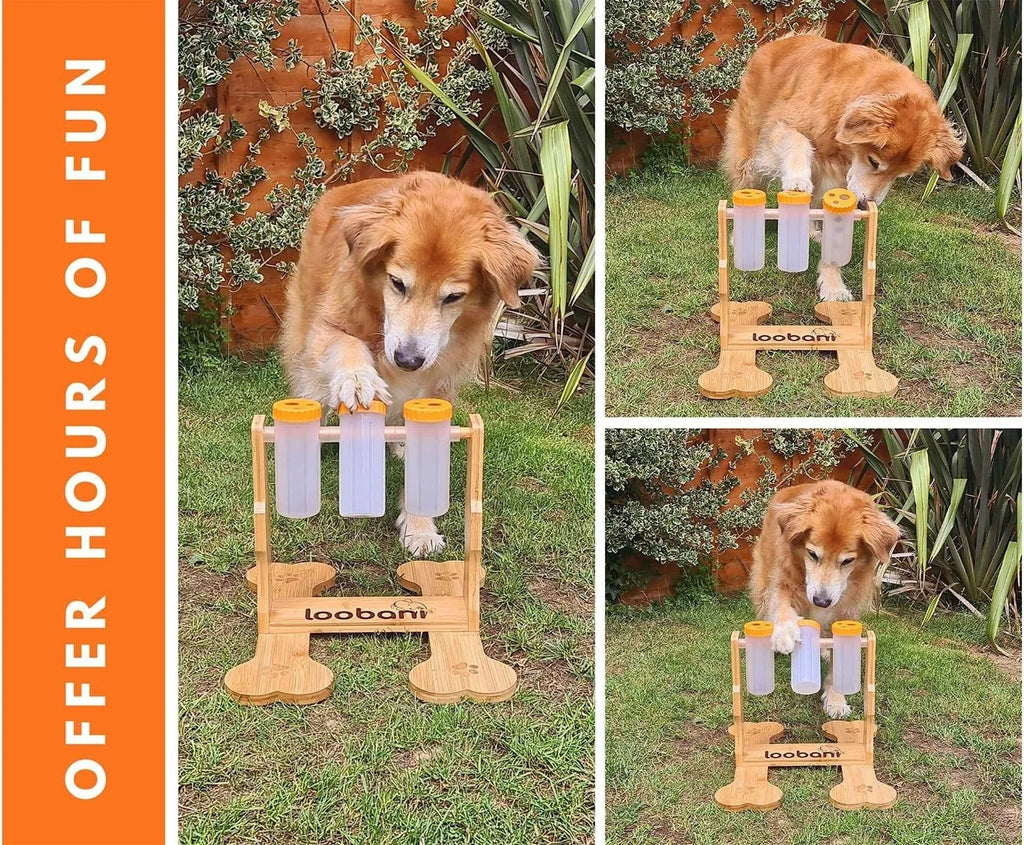 Wooden dog puzzle toy interactive snack dispenser feeder with 31x30x20cm dimensions