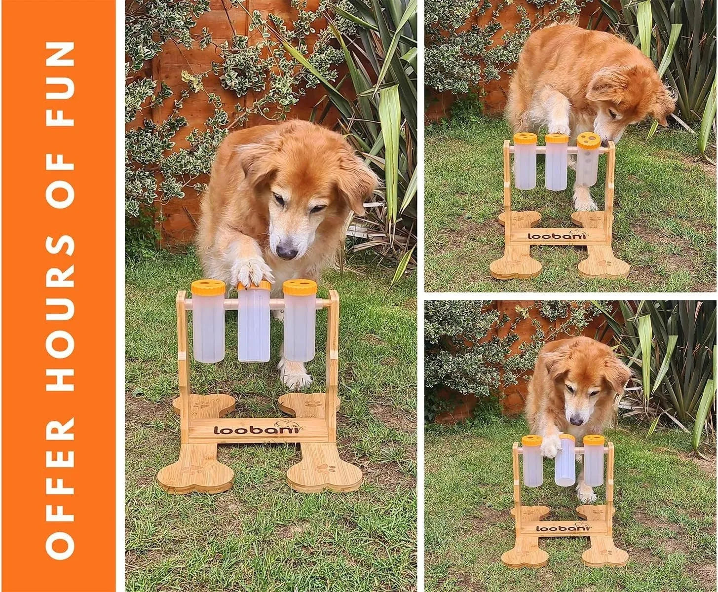 Wooden dog puzzle toy interactive snack dispenser feeder with 31x30x20cm dimensions