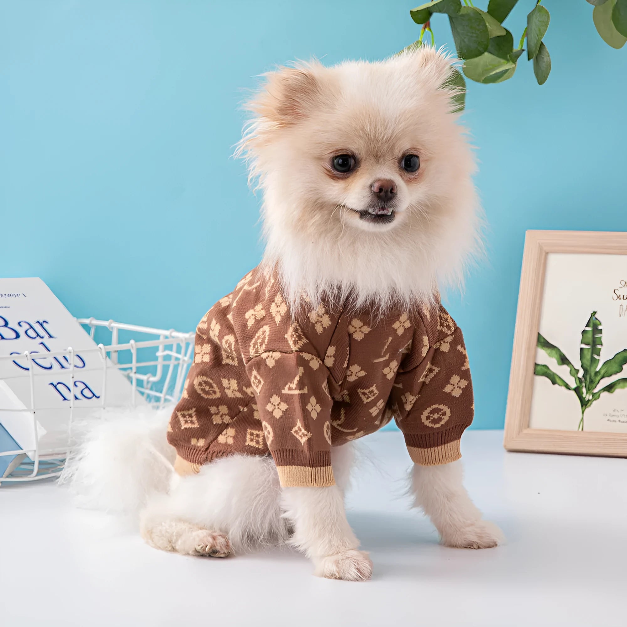 Wool knit dog sweater in European American style for winter warmth