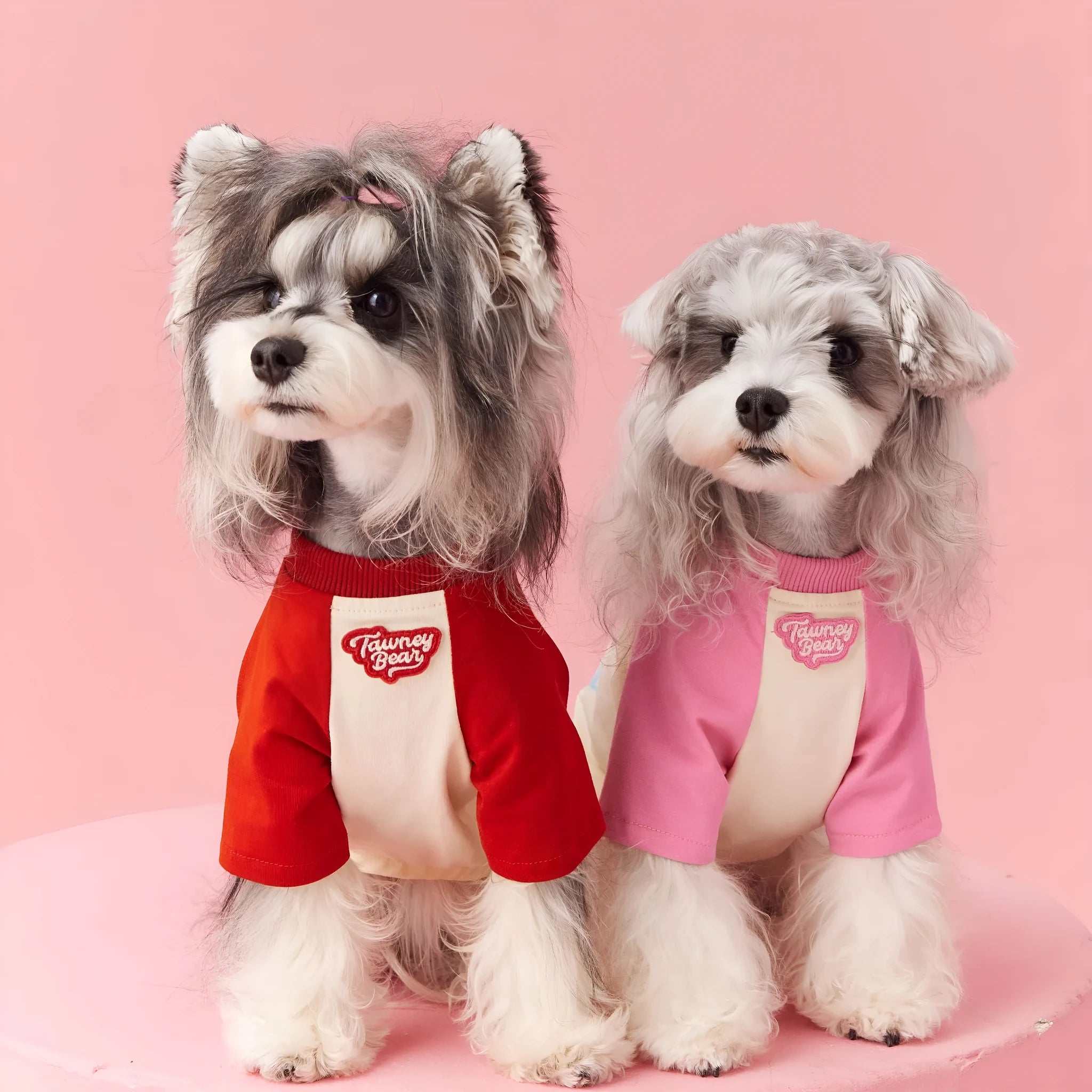 Red embroidered cotton dog summer clothes showing contrast details and short sleeves