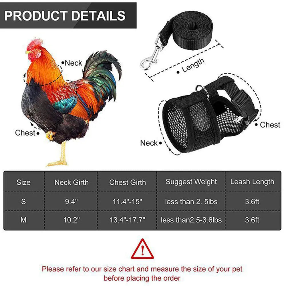 Coloured chicken harness vest with attached collar and long rope for pet poultry walking control